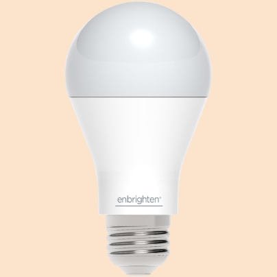 St. Petersburg smart light bulb
